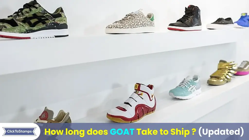 How Long Does Goat Take To Ship in【September 2022】?